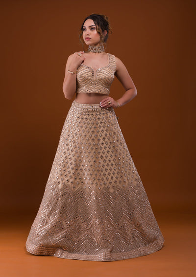 Beige Mirrorwork Net Designer Lehenga-Koskii