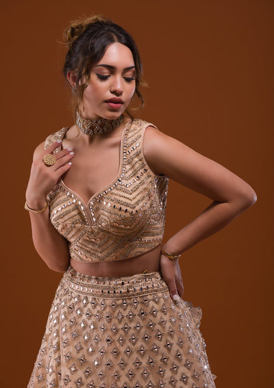 Beige Mirrorwork Net Designer Lehenga-Koskii