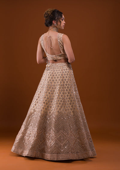 Beige Mirrorwork Net Designer Lehenga-Koskii