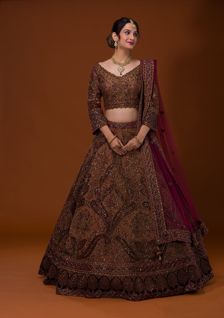 Brown Cutdana Raw Silk Lehenga-Koskii
