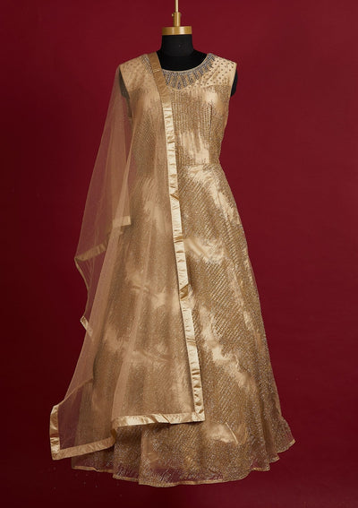 Gold Glitter Net Designer Gown - Koskii