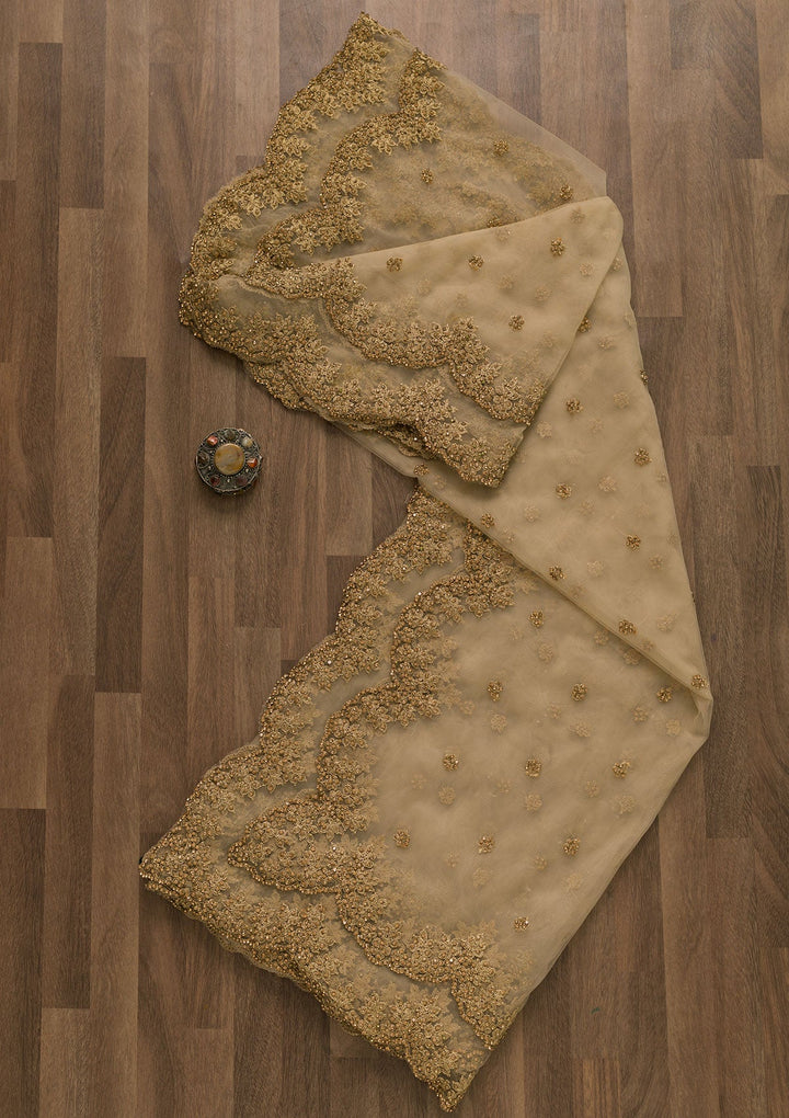 Gold Stonework Net Dupatta-Koskii