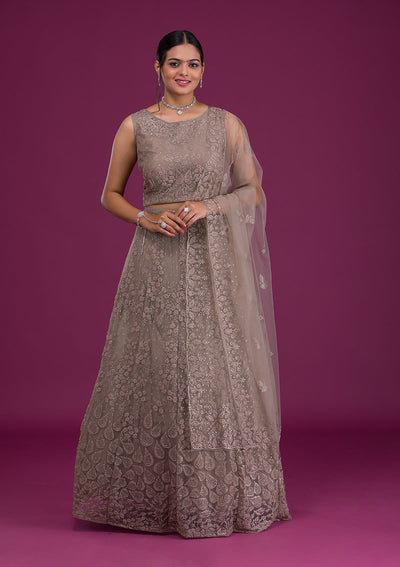 Light Brown Cutdana Net Readymade Lehenga-Koskii