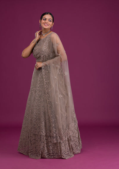 Light Brown Cutdana Net Readymade Lehenga-Koskii