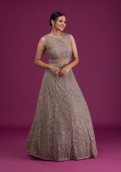 Light Brown Cutdana Net Readymade Lehenga-Koskii
