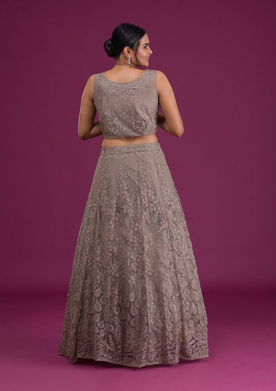 Light Brown Cutdana Net Readymade Lehenga-Koskii