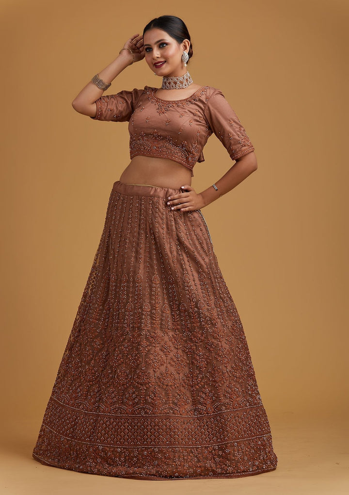 Light Brown Silver Stonework Net Designer Semi-Stitched Lehenga - koskii