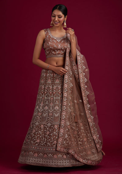 Light Brown Zariwork Net Designer Semi-Stitched Lehenga - koskii