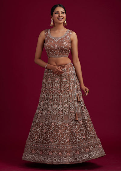 Light Brown Zariwork Net Designer Semi-Stitched Lehenga - koskii