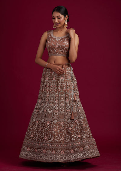 Light Brown Zariwork Net Designer Semi-Stitched Lehenga - koskii