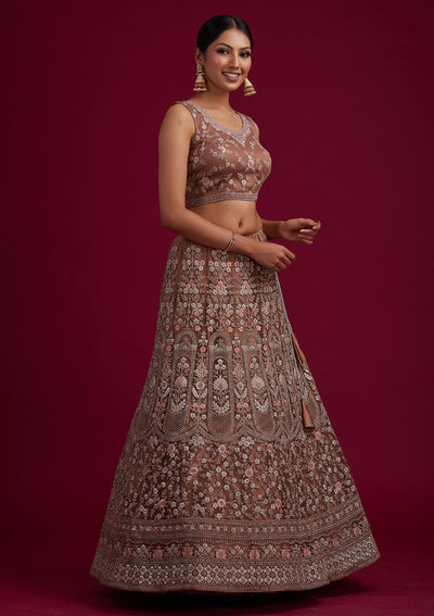 Light Brown Zariwork Net Designer Semi-Stitched Lehenga - koskii