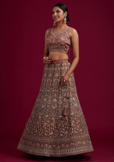 Light Brown Zariwork Net Designer Semi-Stitched Lehenga - koskii