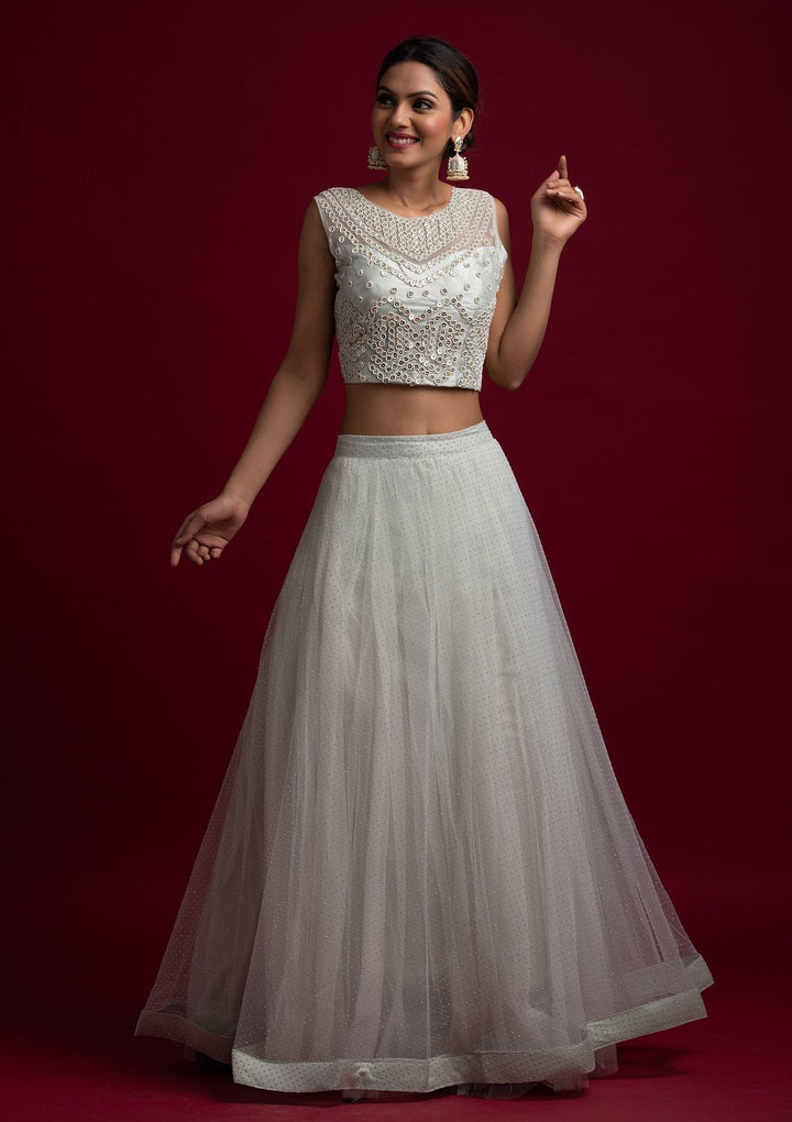 Light Grey Pearlwork Net Designer Lehenga - koskii