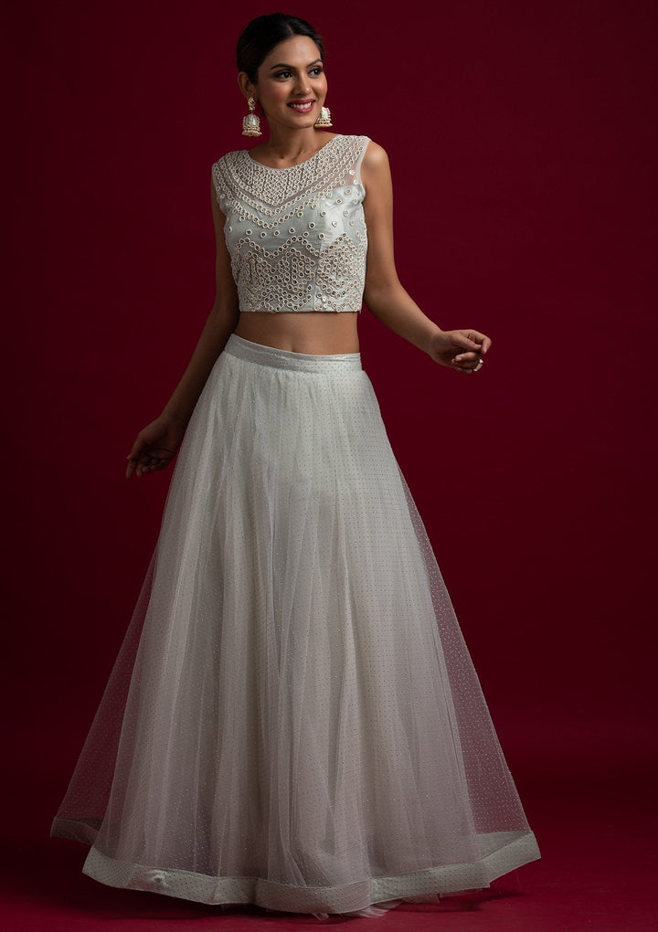 Light Grey Pearlwork Net Designer Lehenga - koskii