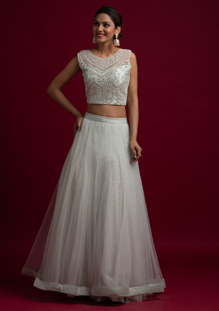 Light Grey Pearlwork Net Designer Lehenga - koskii