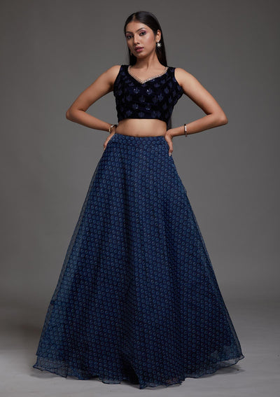 Navy Blue Zariwork Velvet Designer Lehenga-Koskii