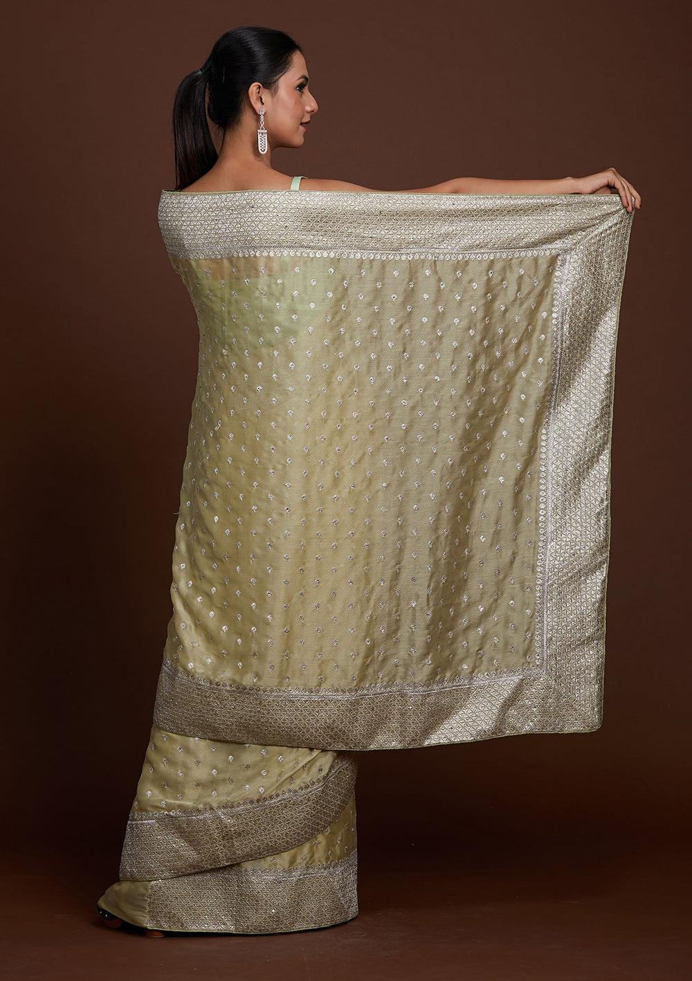 Pista Green Silver Zariwork Georgette Saree-Koskii