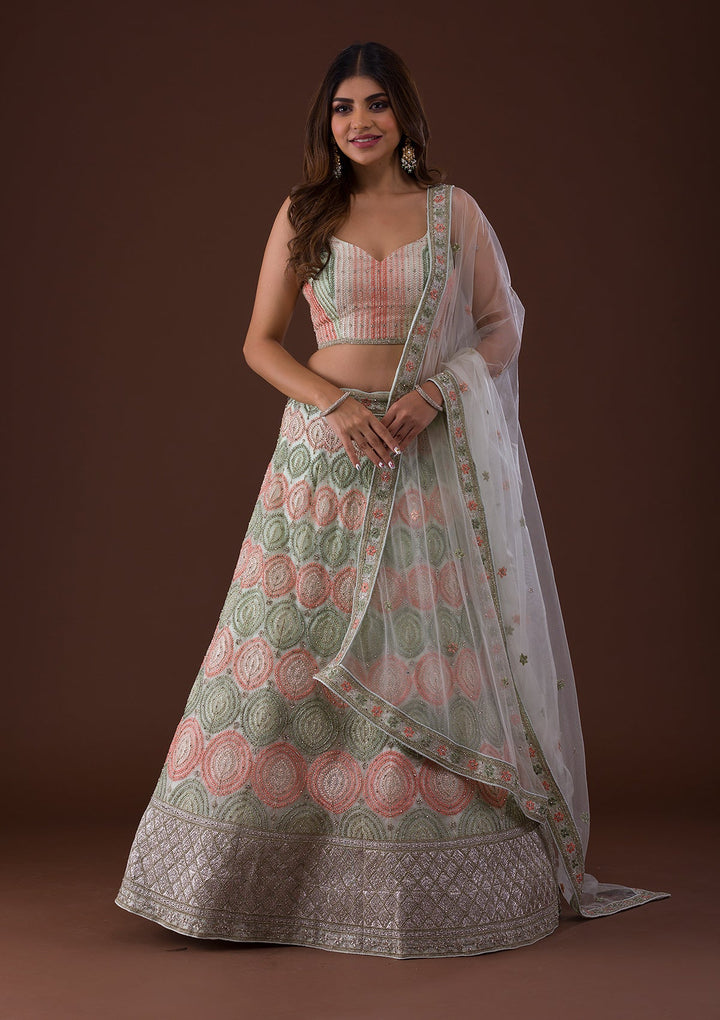 Pista Green Zariwork Net Lehenga-Koskii