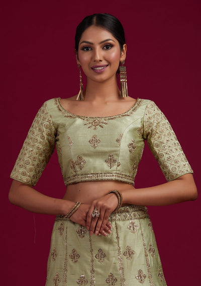 Pista Green Zariwork Raw Silk Designer Semi-Stitched Lehenga - koskii