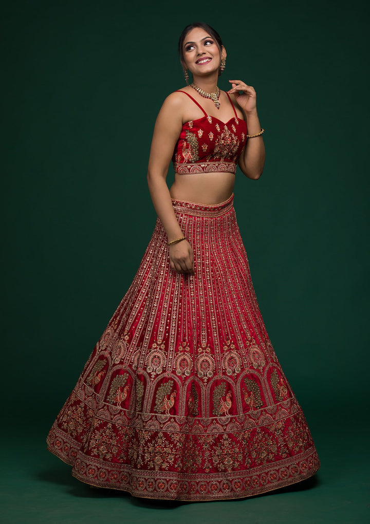 Red Zariwork Velvet Lehenga-koskii