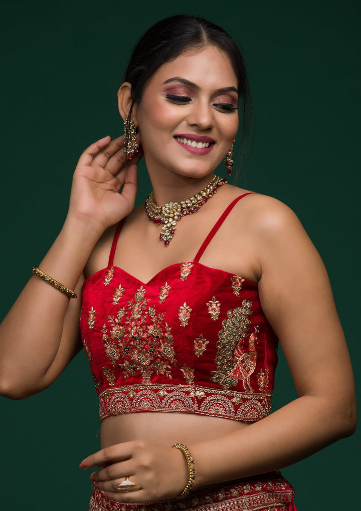 Red Zariwork Velvet Lehenga-koskii