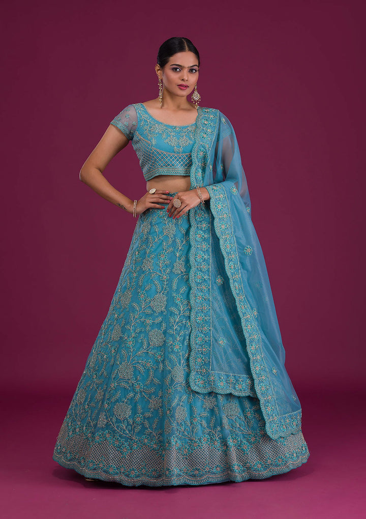 Sky Blue Zariwork Net Semi-Stitched Lehenga-Koskii