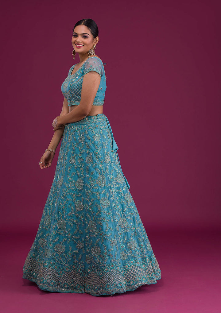 Sky Blue Zariwork Net Semi-Stitched Lehenga-Koskii