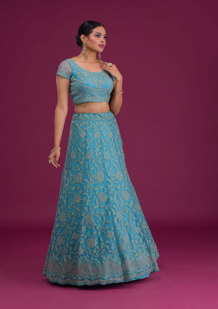 Sky Blue Zariwork Net Semi-Stitched Lehenga-Koskii
