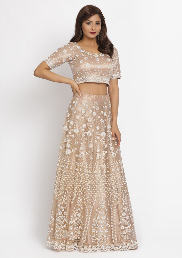 Light Brown Cutdana Net Designer Semi-Stitched Lehenga - koskii