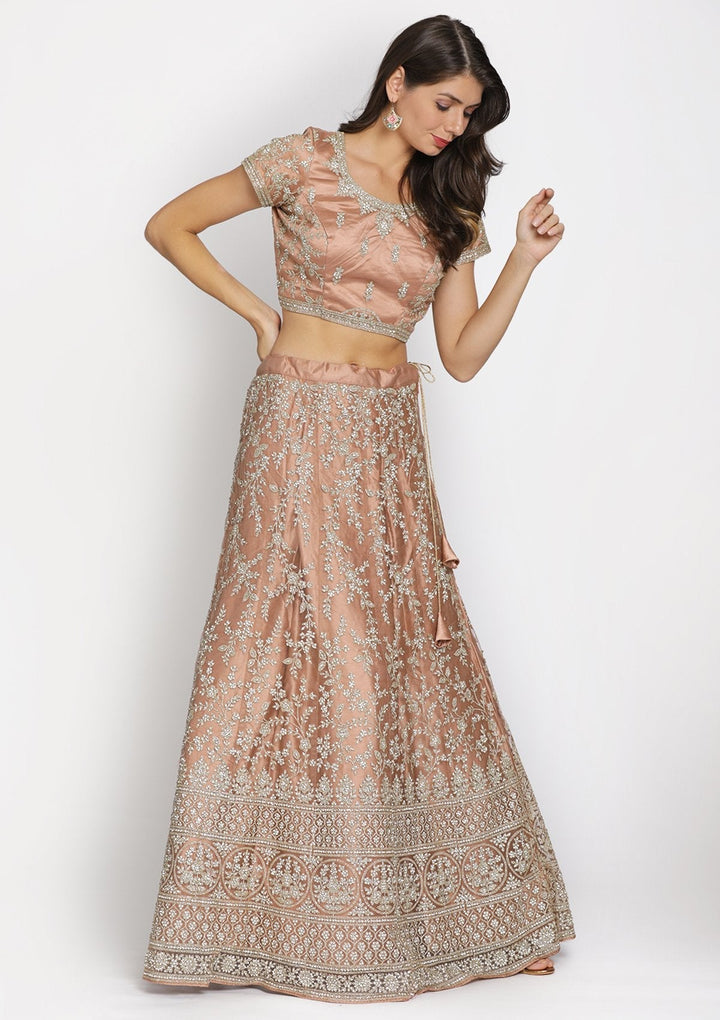 Light Brown Silver Stonework Net Designer Semi-Stitched Lehenga - koskii
