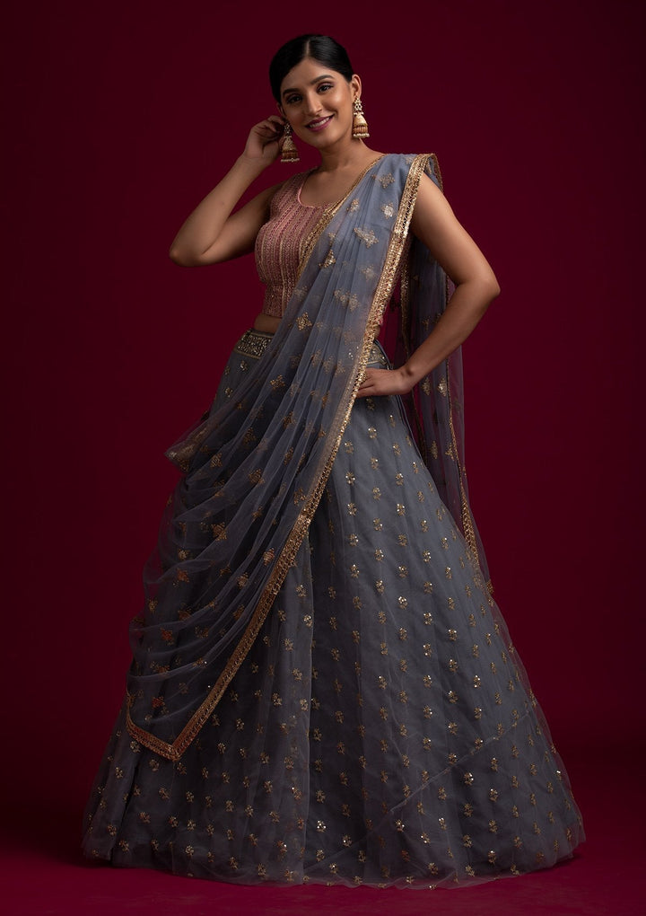 Light Grey Sequins Net Designer Dupatta - koskii