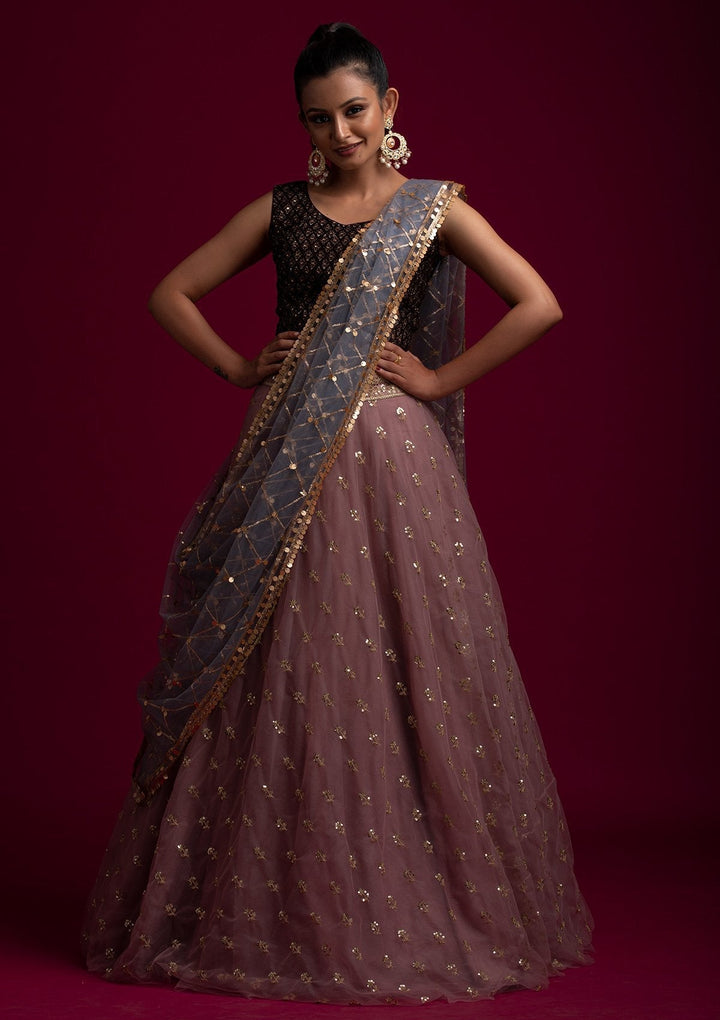 Light Grey Sequins Net Designer Dupatta - koskii