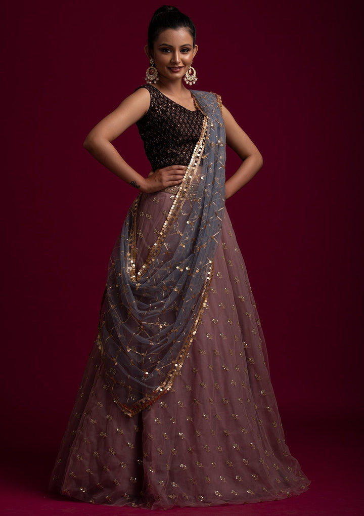 Light Grey Sequins Net Designer Dupatta - koskii