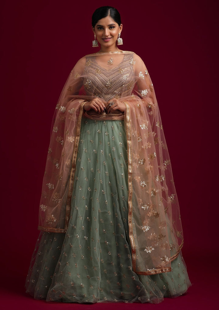 Peach Sequins Net Designer Dupatta - koskii