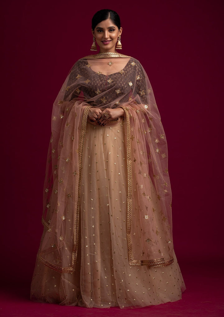 Peach Sequins Net Designer Dupatta - koskii