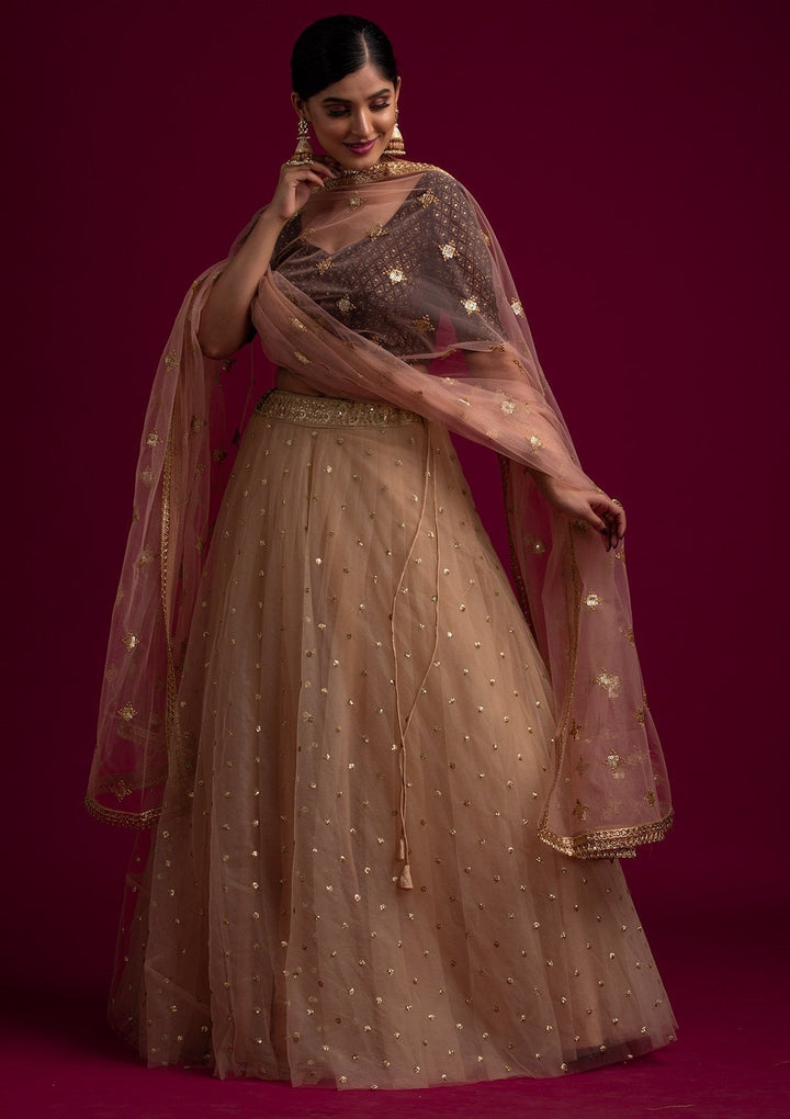 Peach Sequins Net Designer Dupatta - koskii