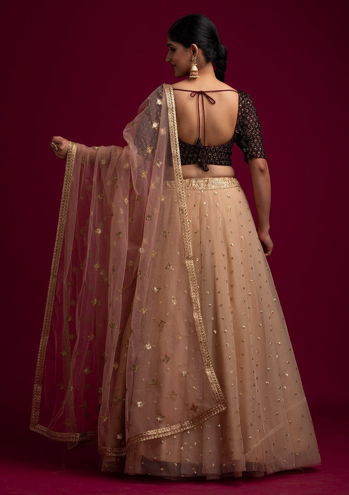 Peach Sequins Net Designer Dupatta - koskii