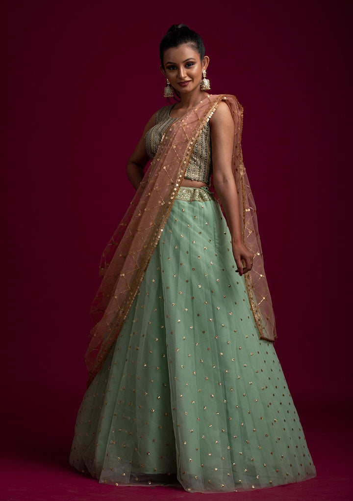 Peach Sequins Net Designer Dupatta - koskii