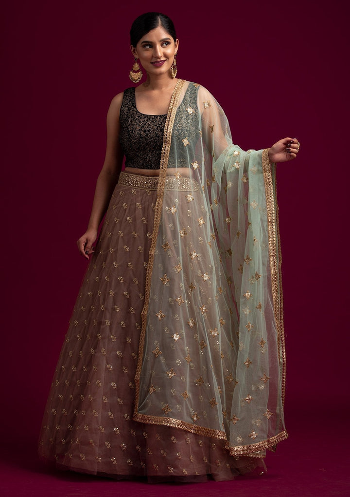 Pista Green Sequins Net Designer Dupatta - koskii