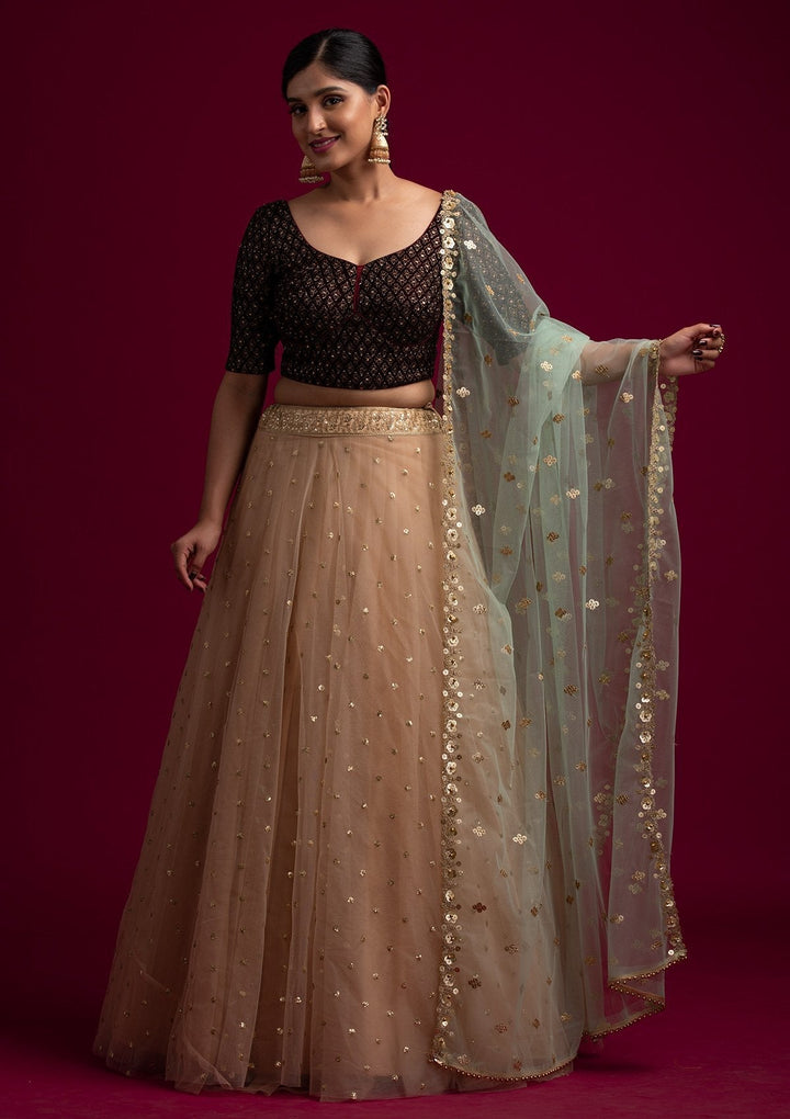 Pista Green Sequins Net Designer Dupatta - koskii