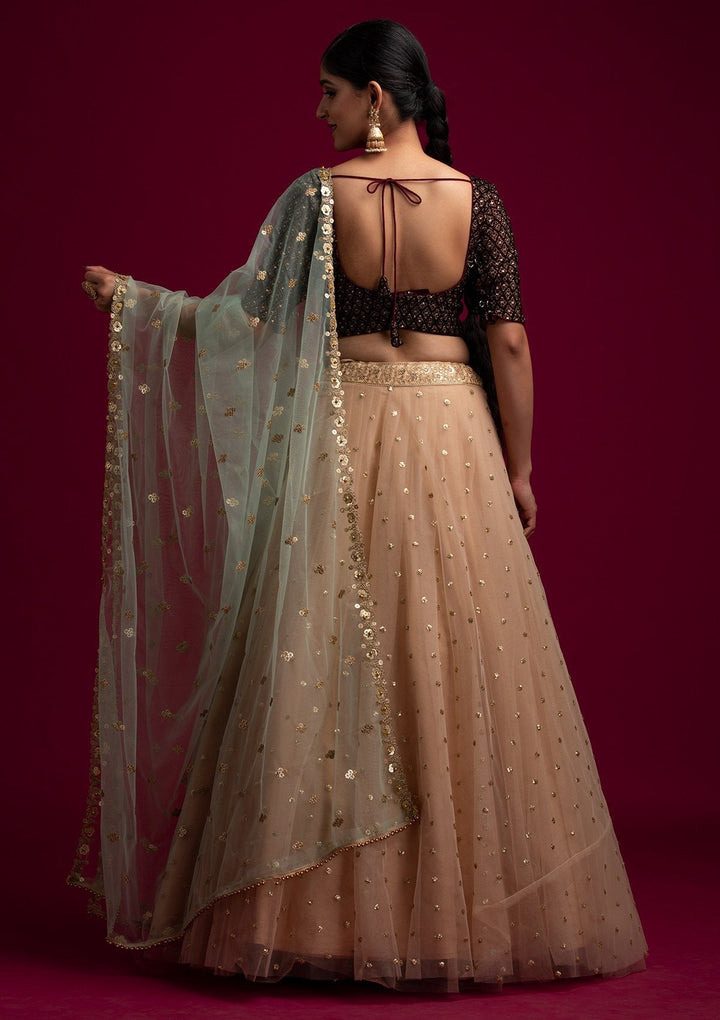 Pista Green Sequins Net Designer Dupatta - koskii