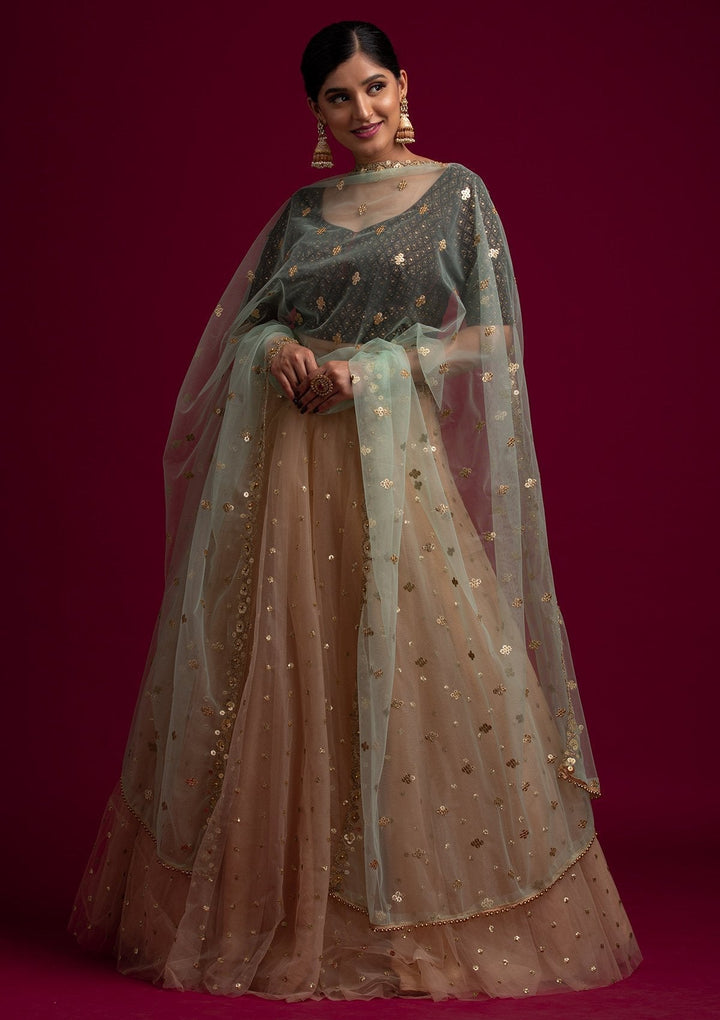Pista Green Sequins Net Designer Dupatta - koskii