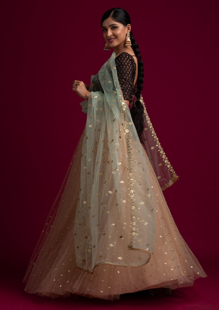Pista Green Sequins Net Designer Dupatta - koskii